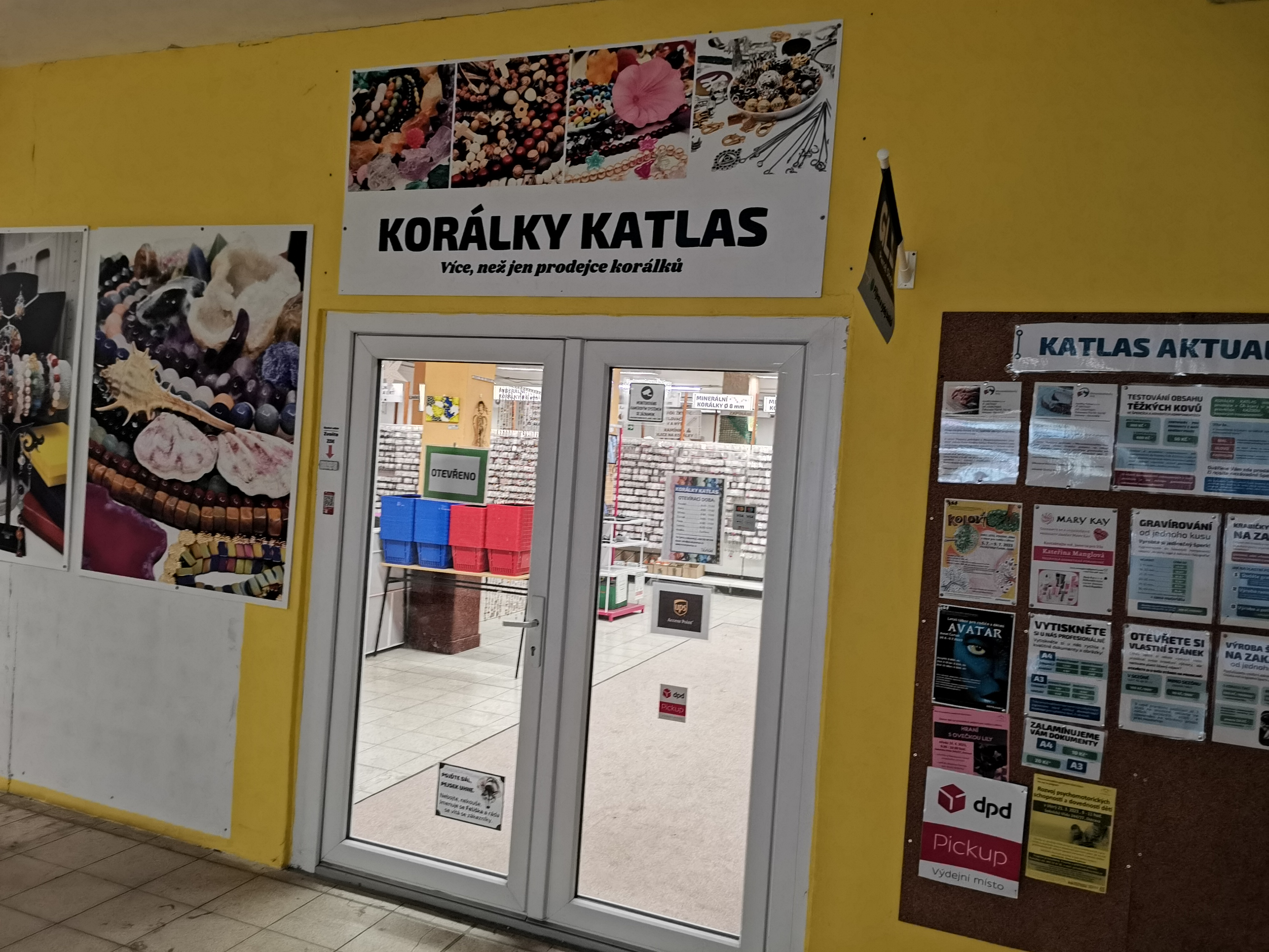 Koralky